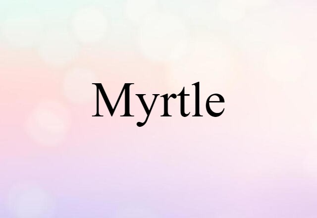 myrtle