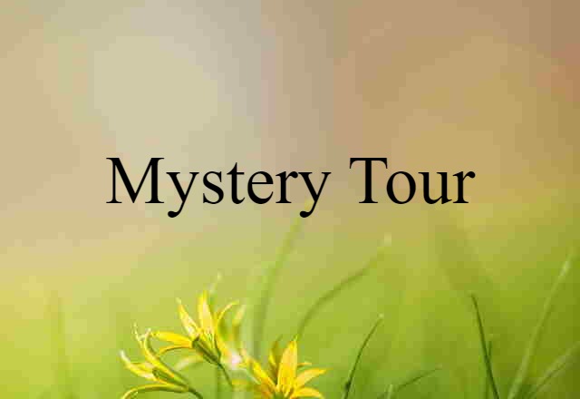 Mystery Tour (noun) Definition, Meaning & Examples