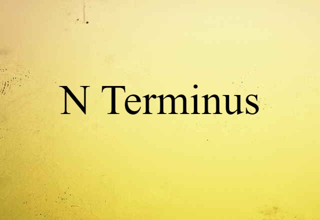 N terminus