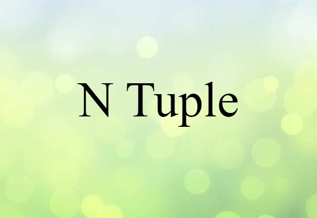 N Tuple (noun) Definition, Meaning & Examples