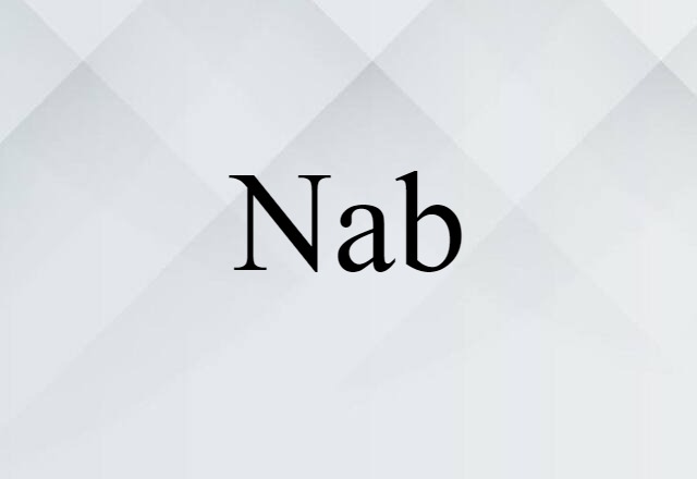 Nab (noun) Definition, Meaning & Examples