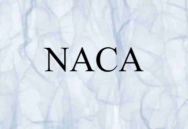 NACA (noun) Definition, Meaning & Examples