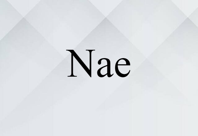 Nae (noun) Definition, Meaning & Examples