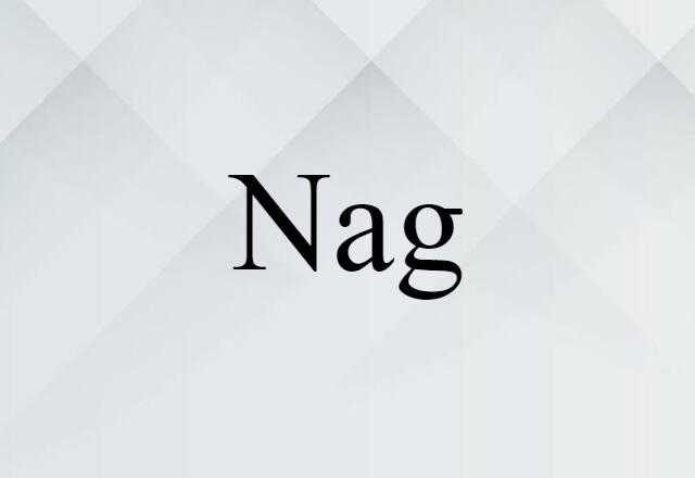 Nag (noun) Definition, Meaning & Examples