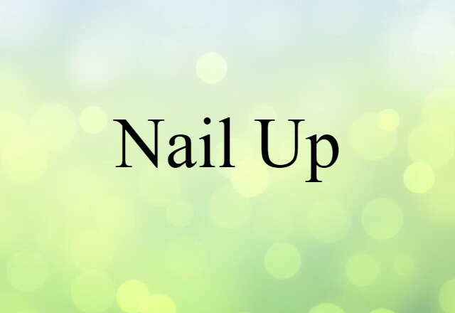 nail up