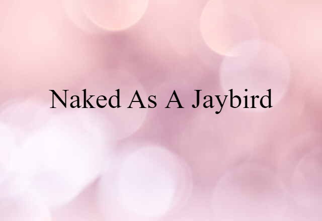 Naked As A Jaybird (noun) Definition, Meaning & Examples