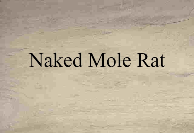 naked mole rat