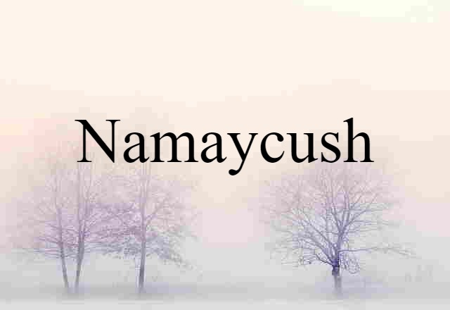 Namaycush (noun) Definition, Meaning & Examples