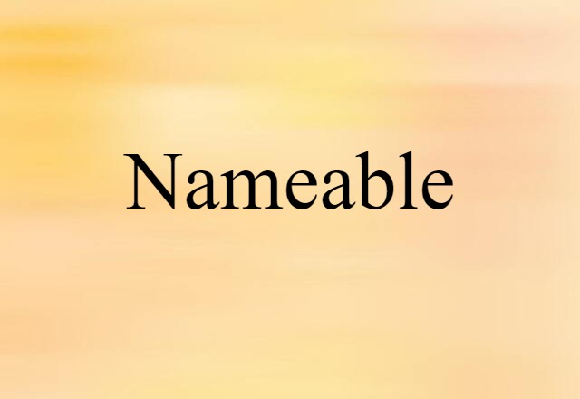 Nameable (noun) Definition, Meaning & Examples