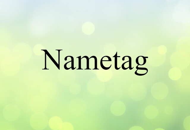 Nametag (noun) Definition, Meaning & Examples