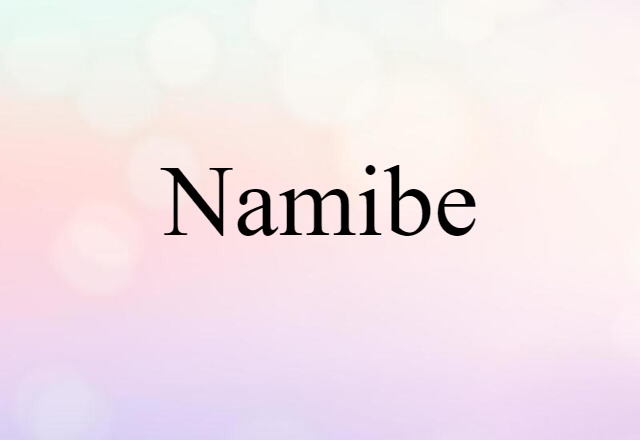 Namibe (noun) Definition, Meaning & Examples