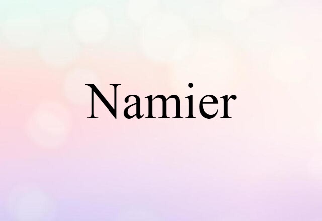 Namier (noun) Definition, Meaning & Examples