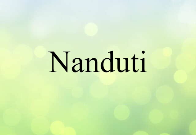 Nanduti (noun) Definition, Meaning & Examples