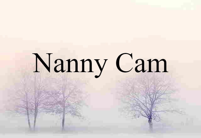 nanny cam