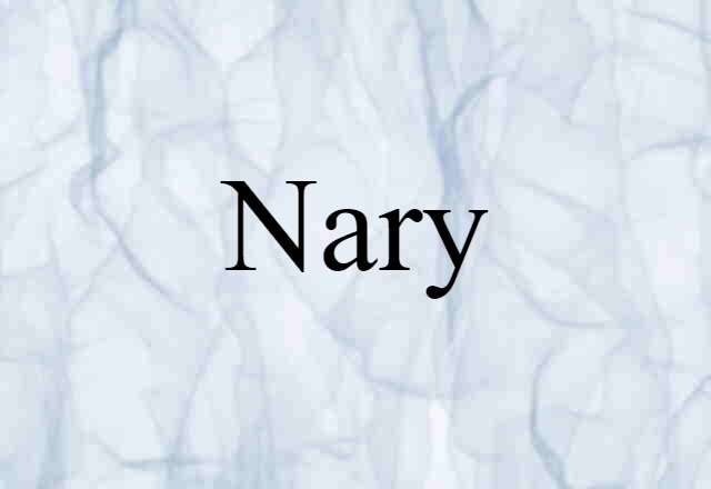 Nary (noun) Definition, Meaning & Examples