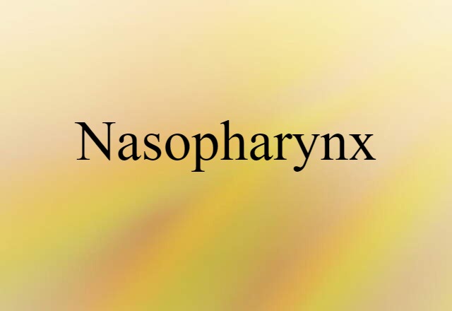 nasopharynx