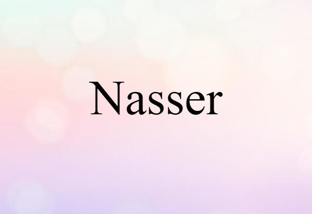 Nasser (noun) Definition, Meaning & Examples