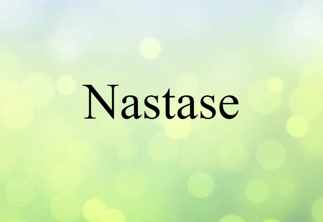 Nastase (noun) Definition, Meaning & Examples