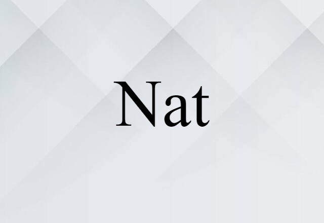 Nat (noun) Definition, Meaning & Examples