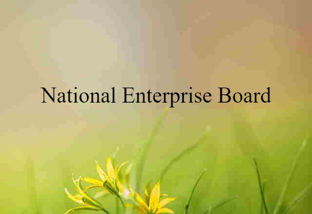 National Enterprise Board (noun) Definition, Meaning & Examples