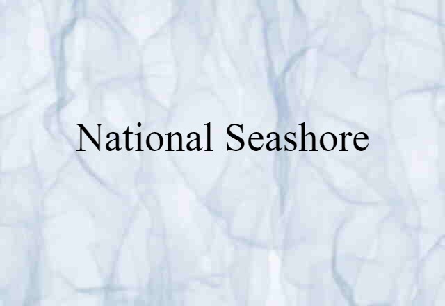 National Seashore (noun) Definition, Meaning & Examples