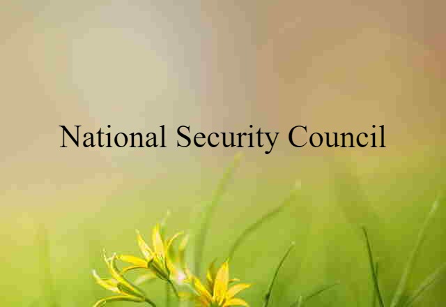 National Security Council