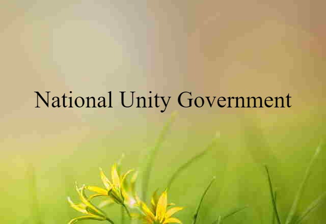 National Unity Government (noun) Definition, Meaning & Examples