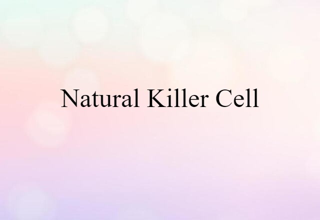 natural killer cell