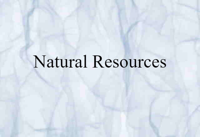 Natural Resources (noun) Definition, Meaning & Examples