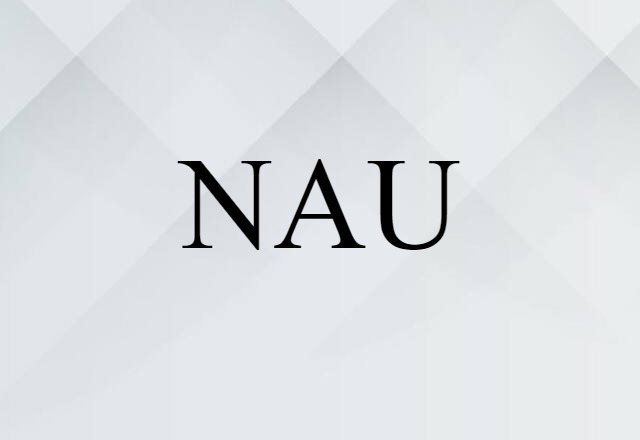 NAU (noun) Definition, Meaning & Examples