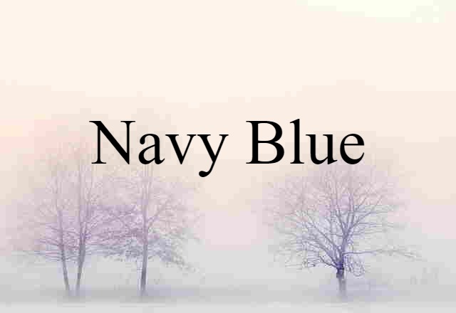 Navy Blue (noun) Definition, Meaning & Examples