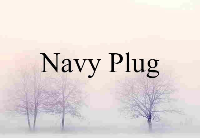 Navy Plug (noun) Definition, Meaning & Examples