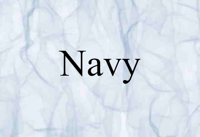 Navy (noun) Definition, Meaning & Examples