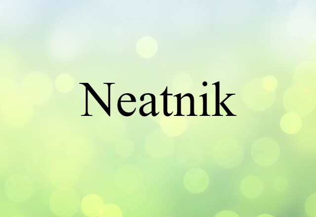 neatnik