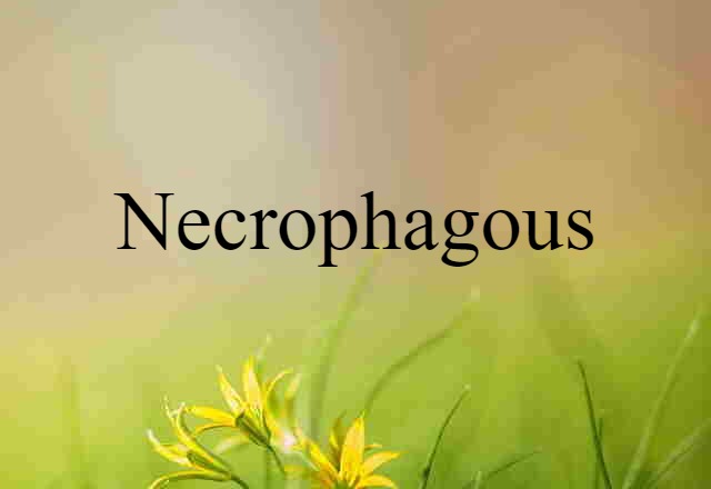 necrophagous