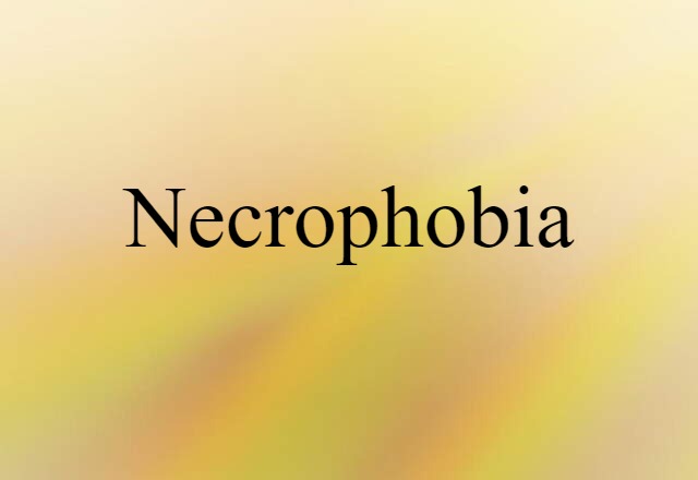 Necrophobia (noun) Definition, Meaning & Examples