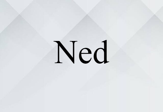 Ned (noun) Definition, Meaning & Examples