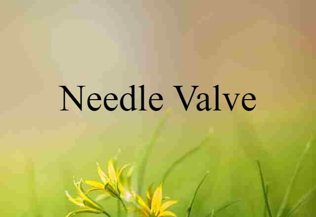 needle valve