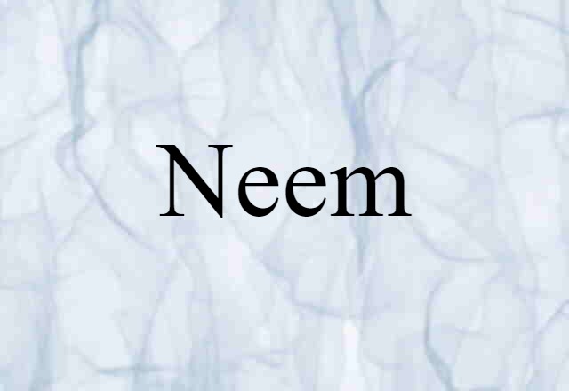 Neem (noun) Definition, Meaning & Examples