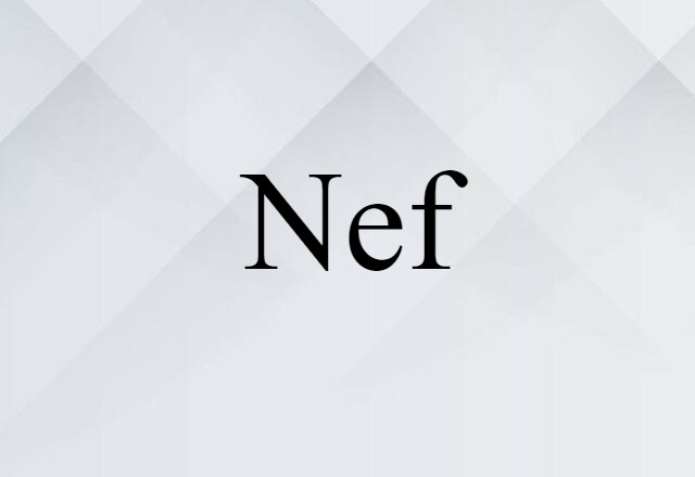 Nef (noun) Definition, Meaning & Examples