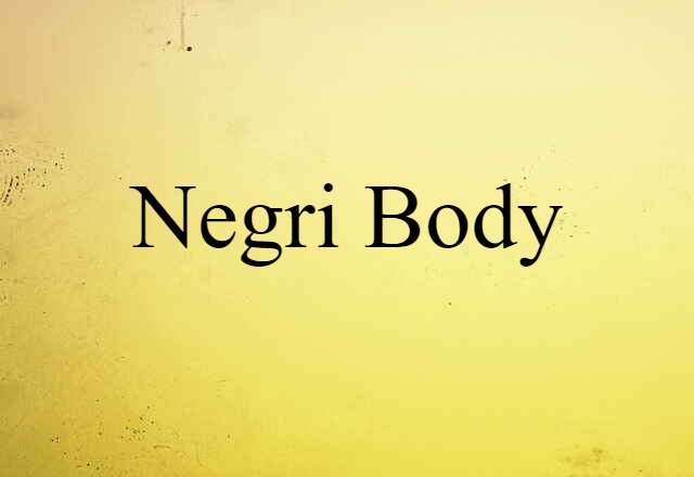 Negri Body (noun) Definition, Meaning & Examples