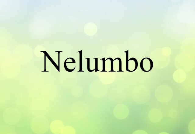 nelumbo