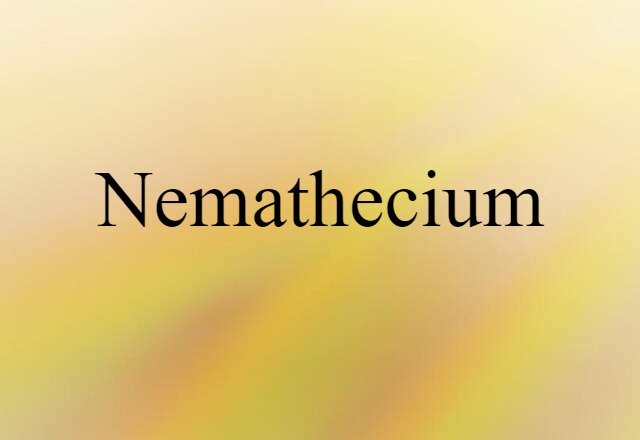 Nemathecium (noun) Definition, Meaning & Examples