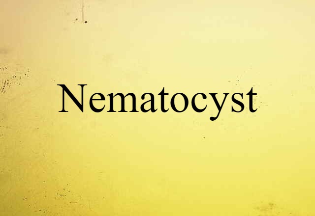 nematocyst