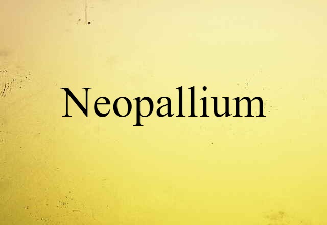 Neopallium (noun) Definition, Meaning & Examples