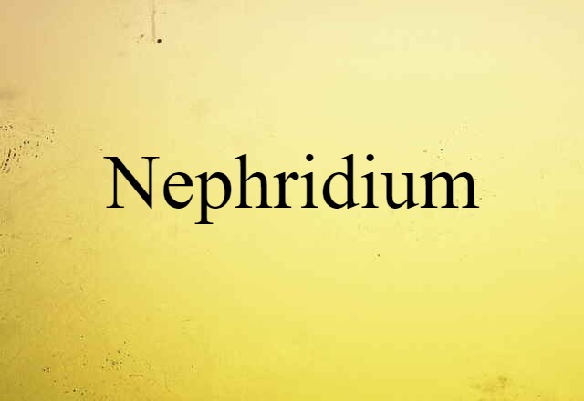 Nephridium (noun) Definition, Meaning & Examples