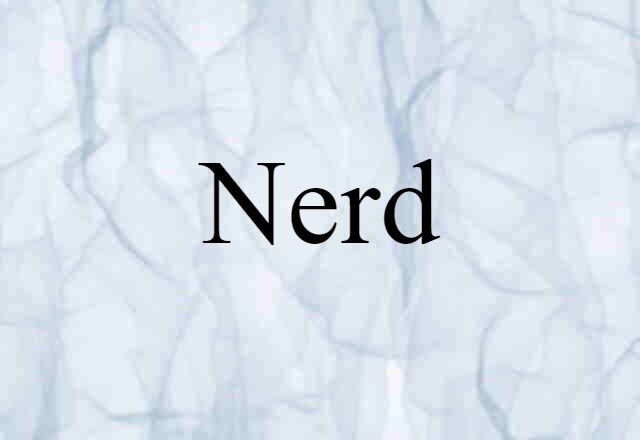 Nerd (noun) Definition, Meaning & Examples