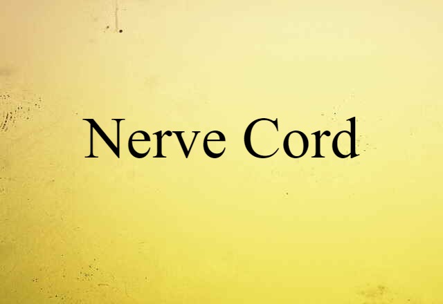 nerve cord