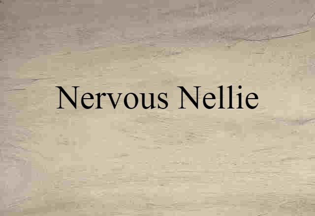 Nervous Nellie (noun) Definition, Meaning & Examples