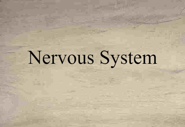 nervous system